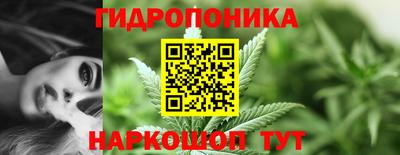 альфа пвп Гусев