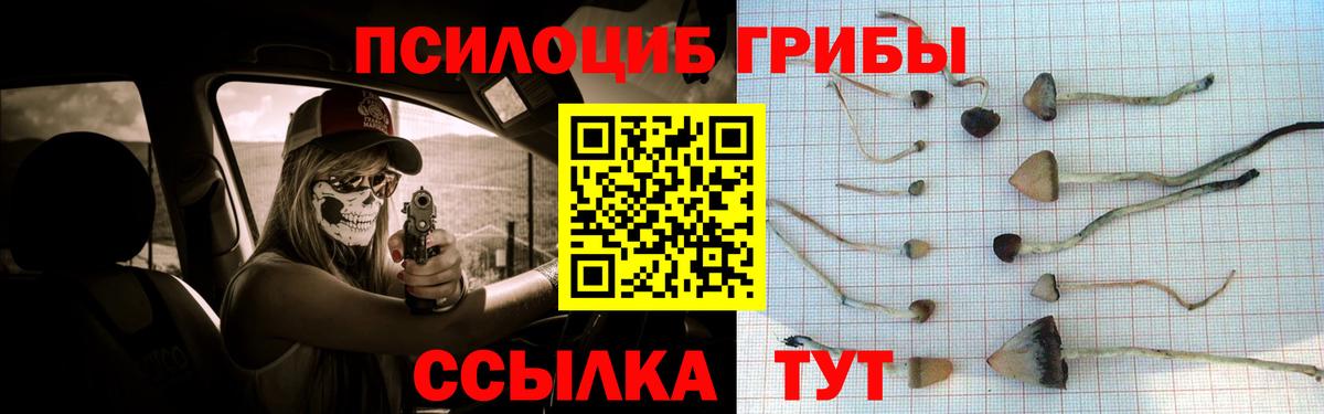 Донской  Псилоцибиновые грибы мухоморы  Вход с VPN 