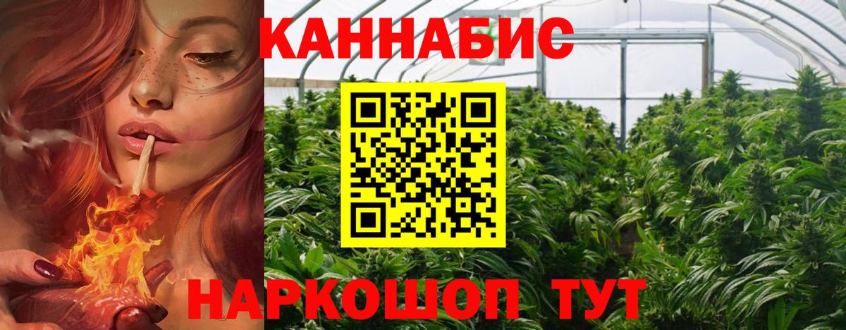 Шишки марихуана White Widow  Марихуана планчик  Донской  Канабис индика  Вход с VPN 